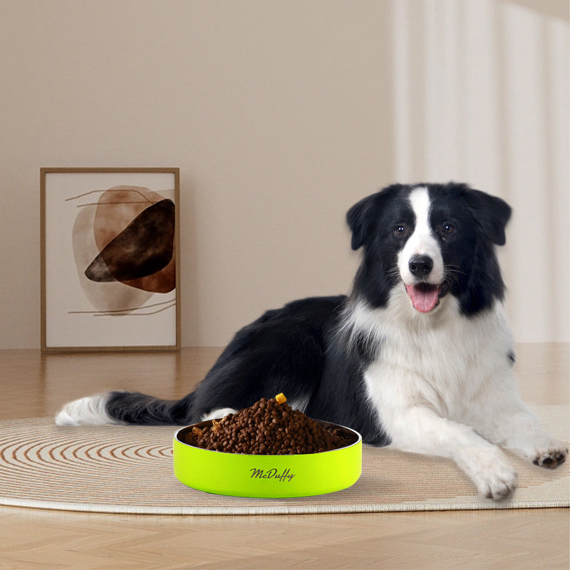 McDuffy Slow Feeder Bowl