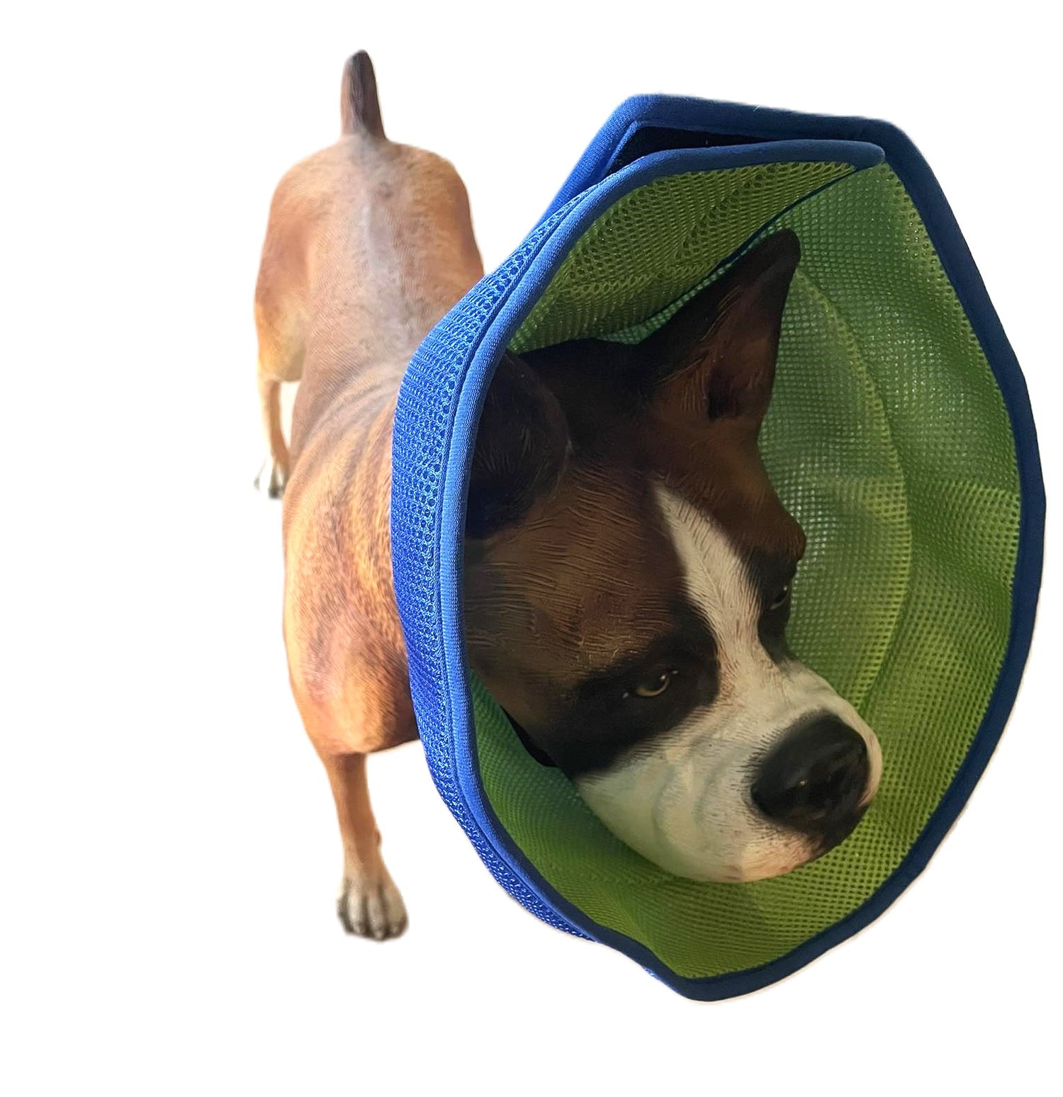 Dog Cone