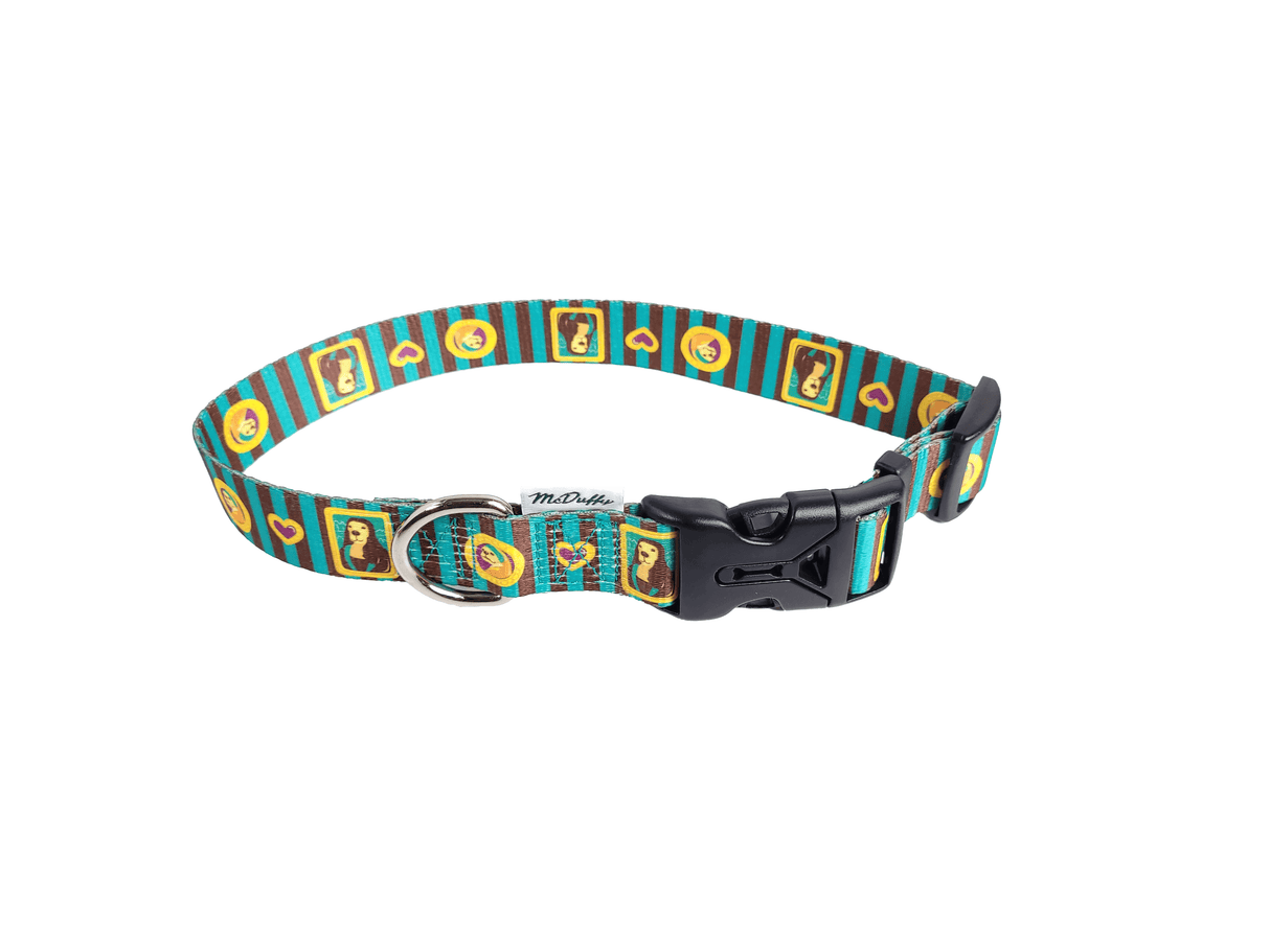 Reflective Soft Leash