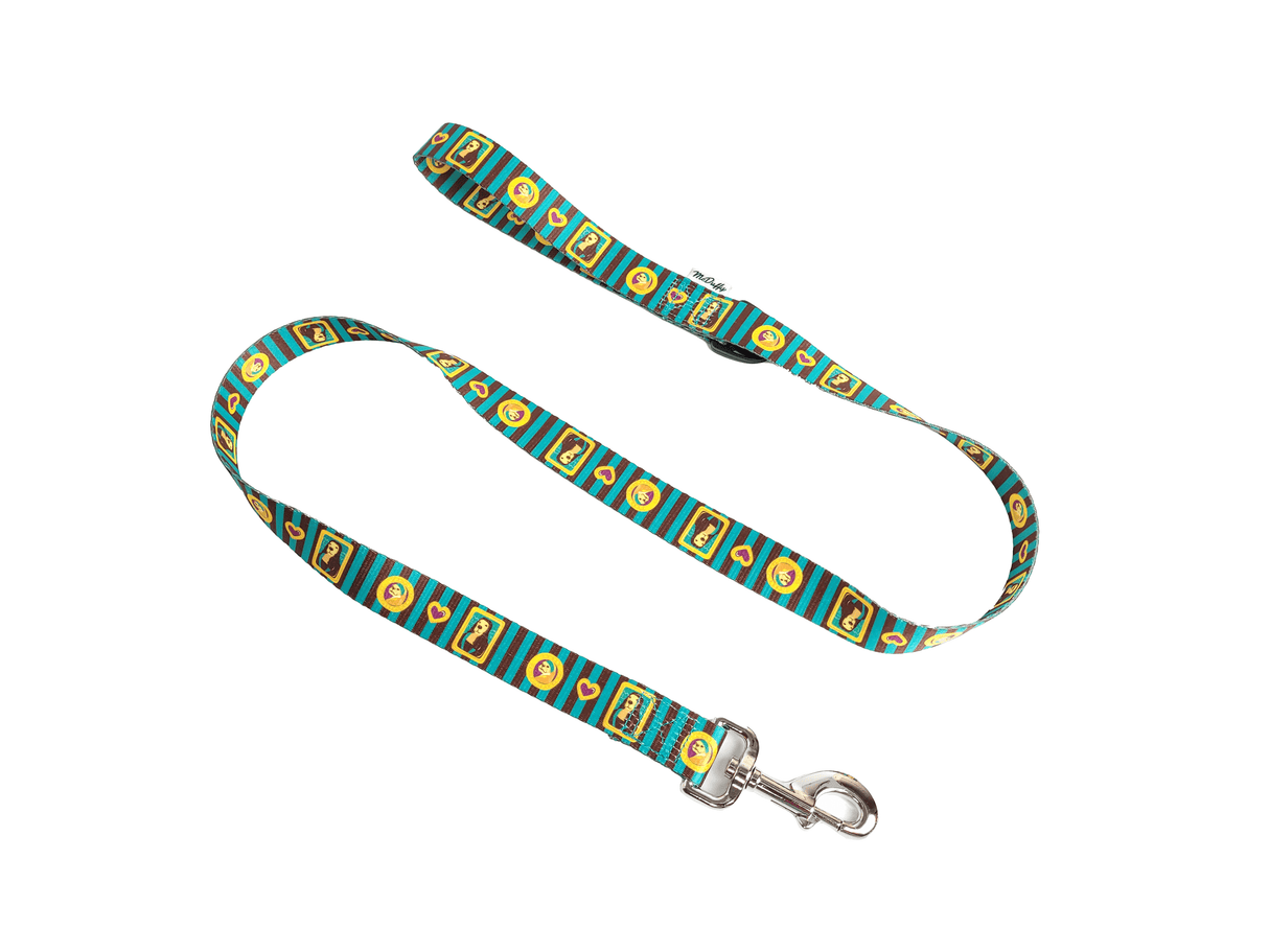 Reflective Soft Leash