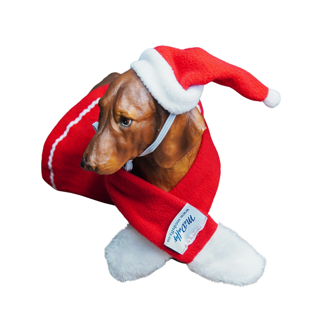 Christmas Theme Outfits