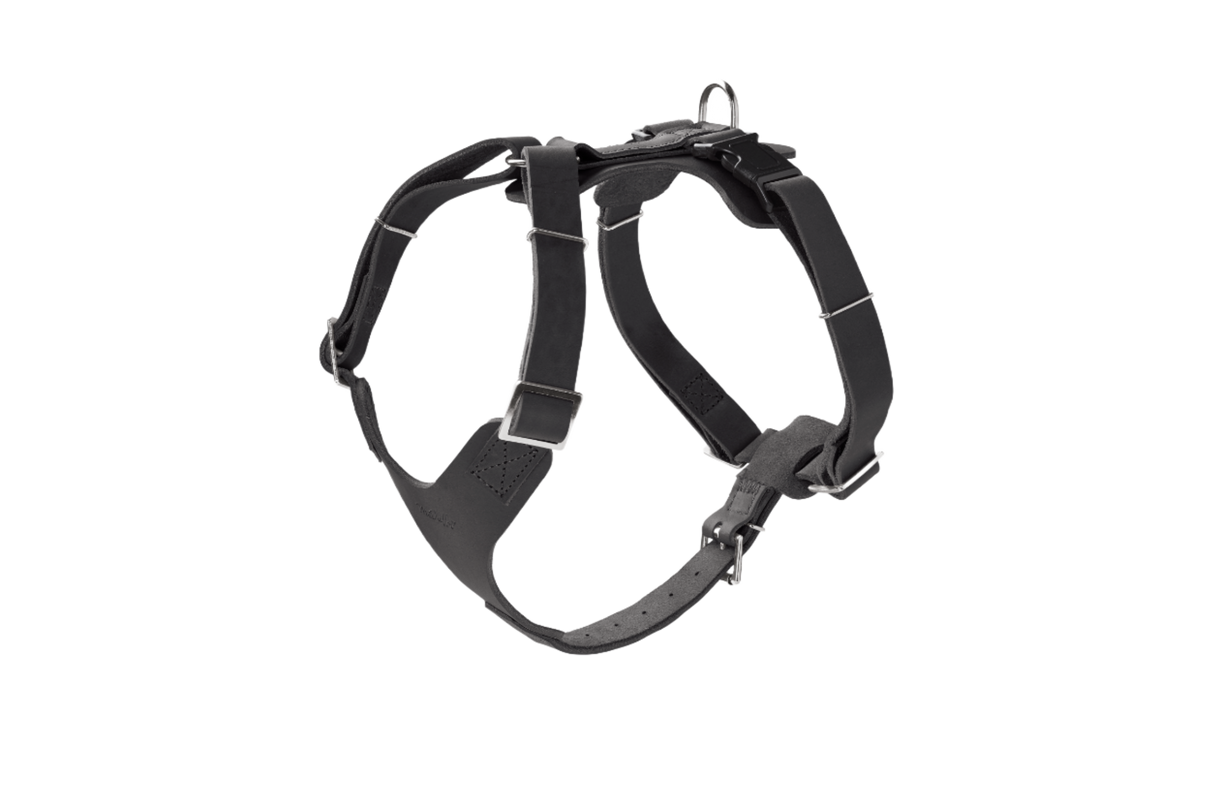 Signature Leather Harness