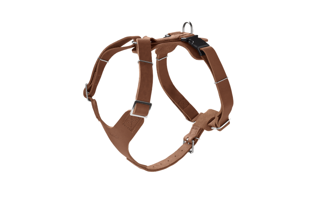 Signature Leather Harness