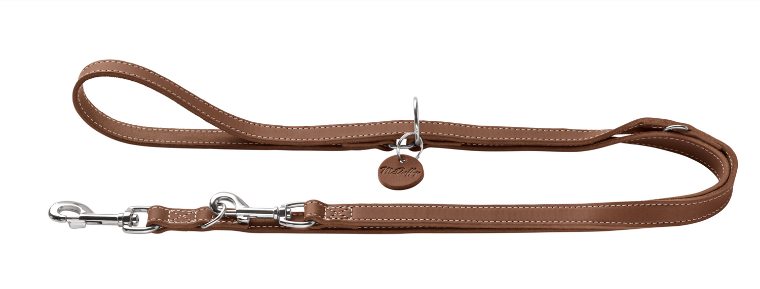 Signature Leather Leash