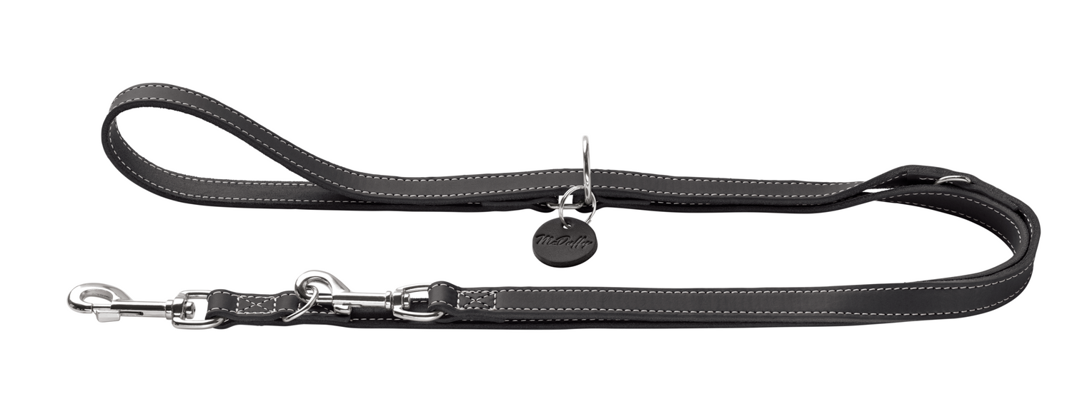 Signature Leather Leash