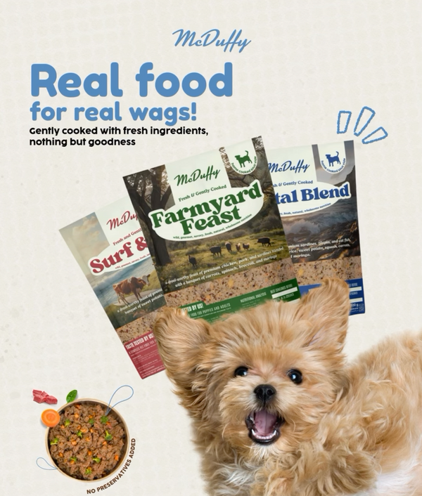 Signature Sampler Pack