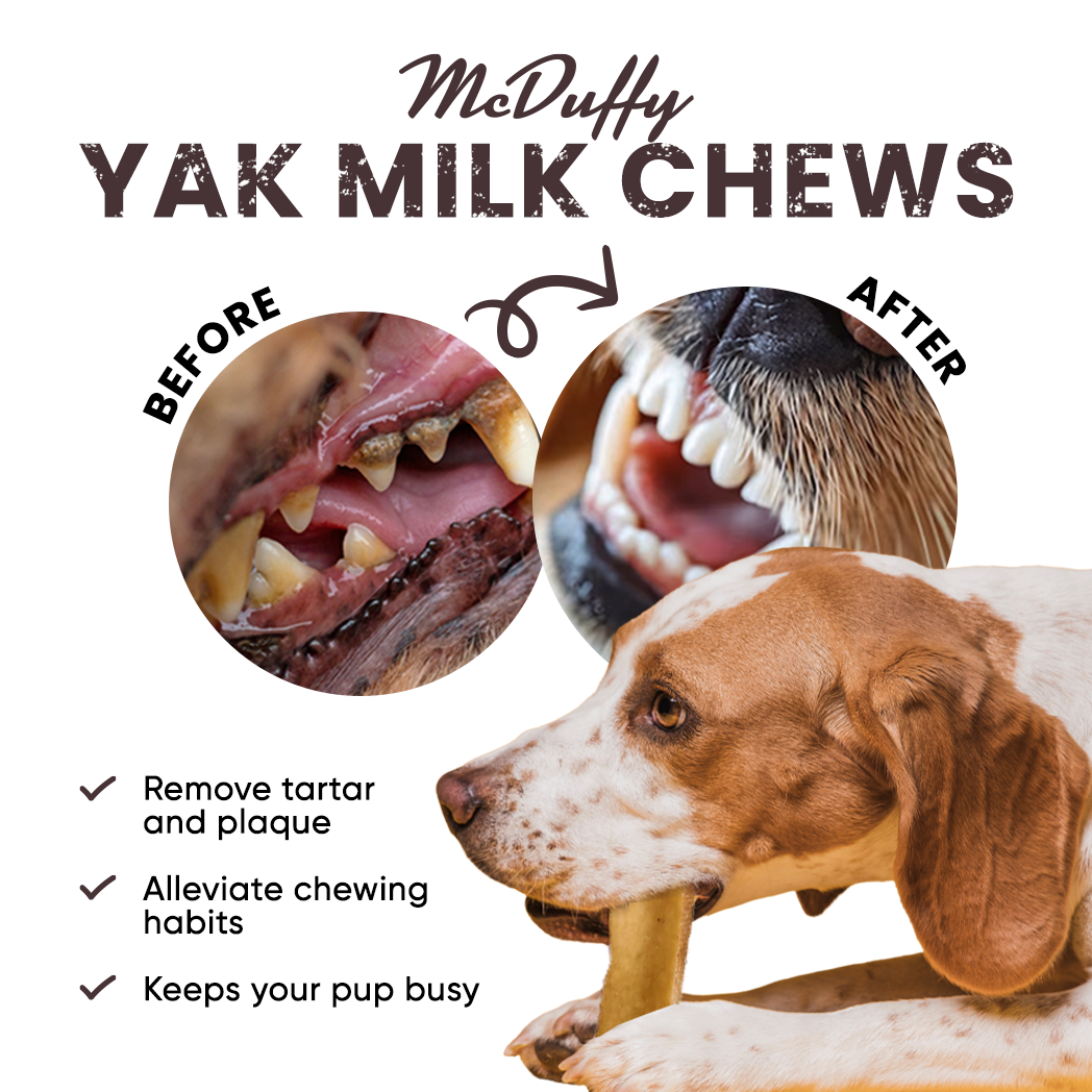 Himalayan Yak Chews