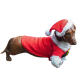 Christmas Theme Outfits