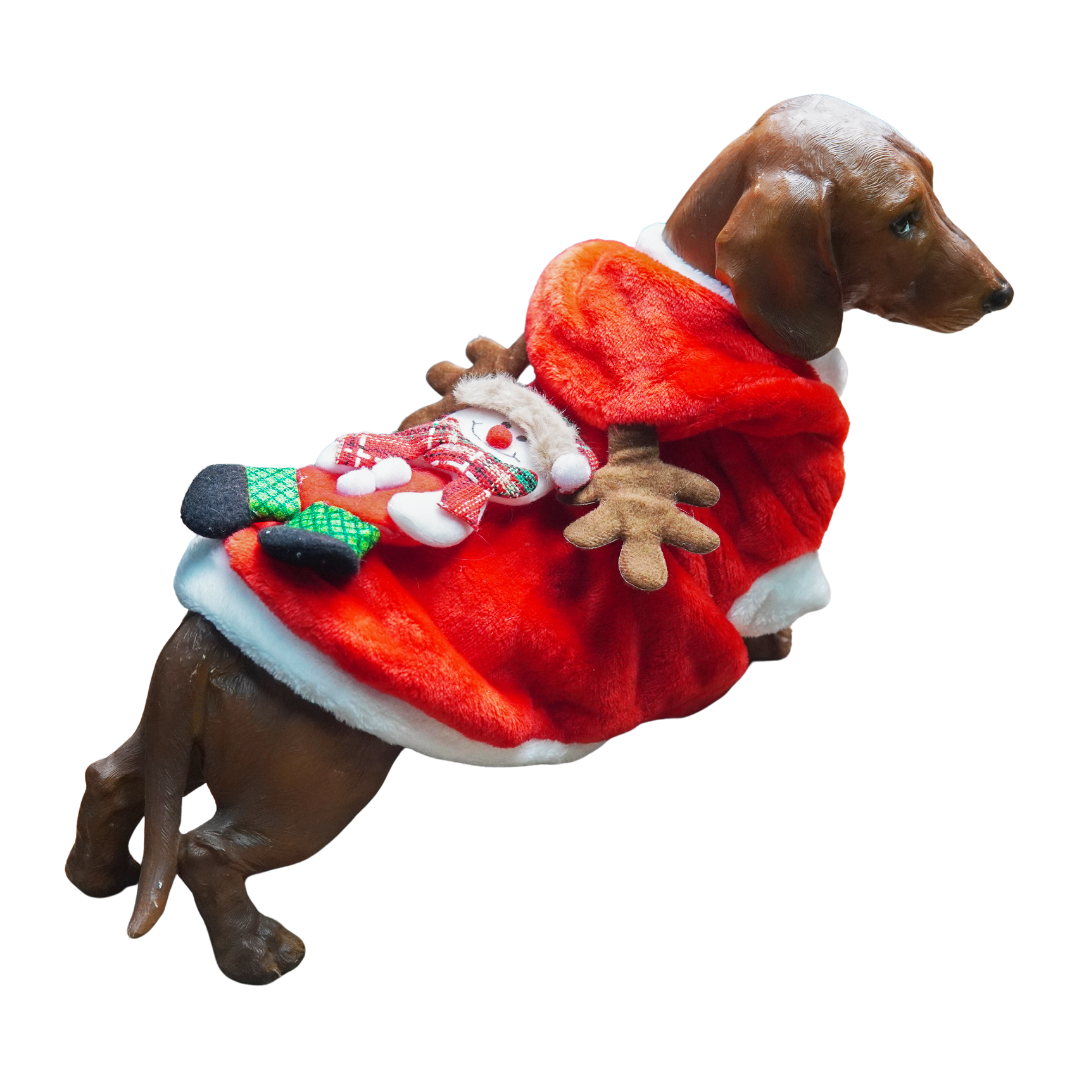 Christmas Theme Outfits