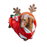 Christmas Theme Outfits