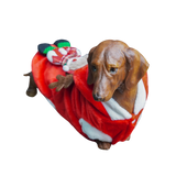 Christmas Theme Outfits