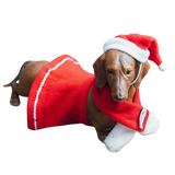 Christmas Theme Outfits