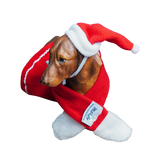 Christmas Theme Outfits