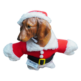 Christmas Theme Outfits