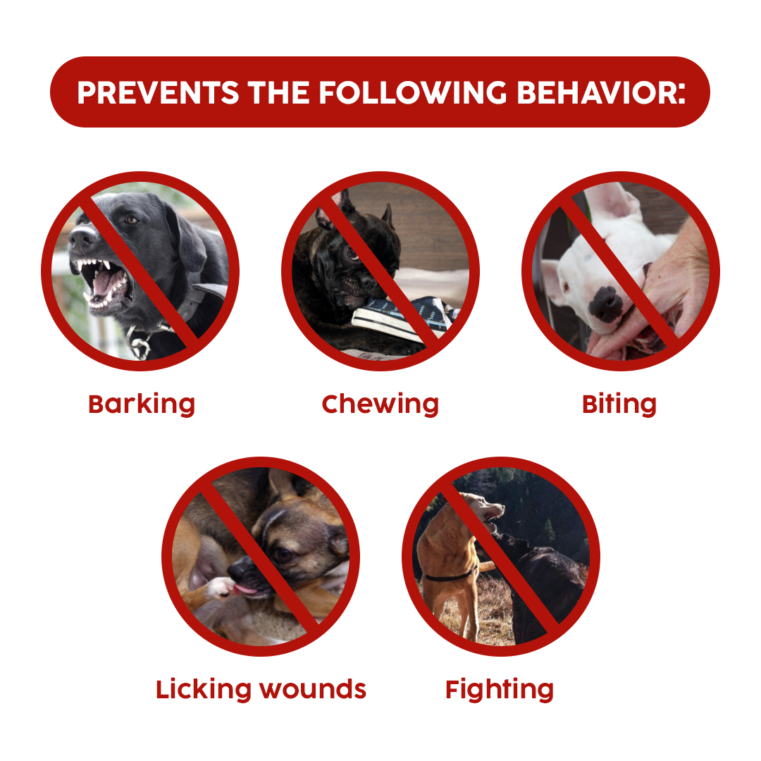 Nylon Oxford Mesh Velcro Muzzle